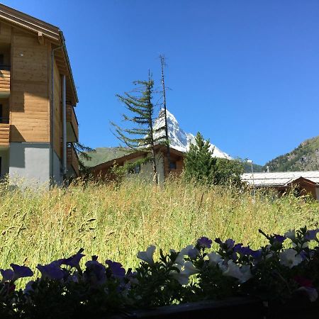 Haus Marico Appartamento Zermatt Esterno foto