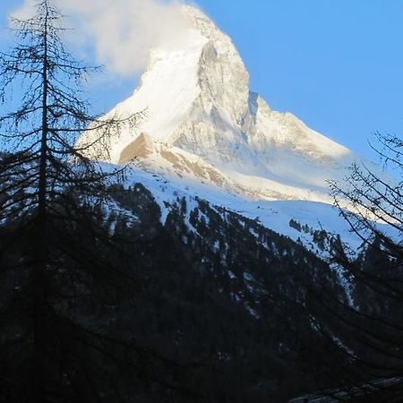Haus Marico Appartamento Zermatt Esterno foto