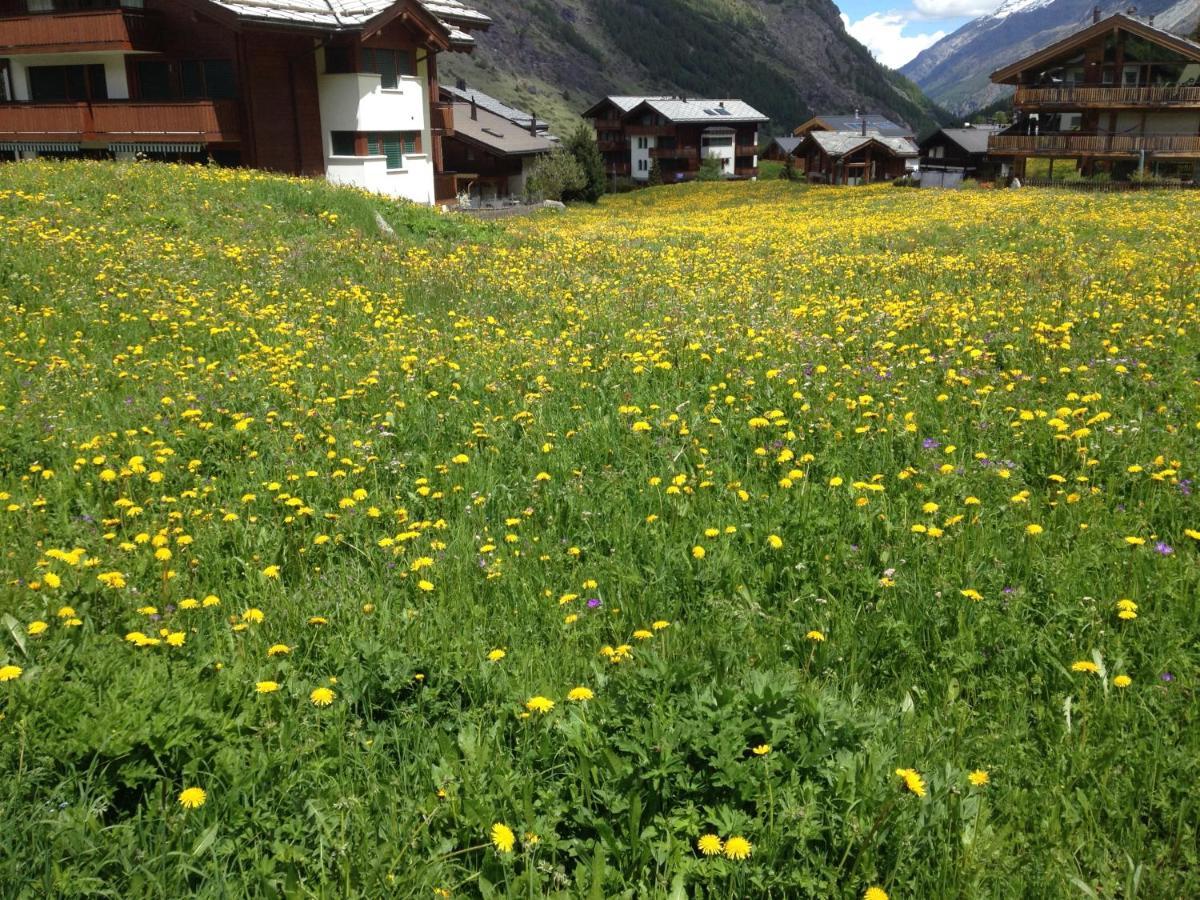 Haus Marico Appartamento Zermatt Esterno foto