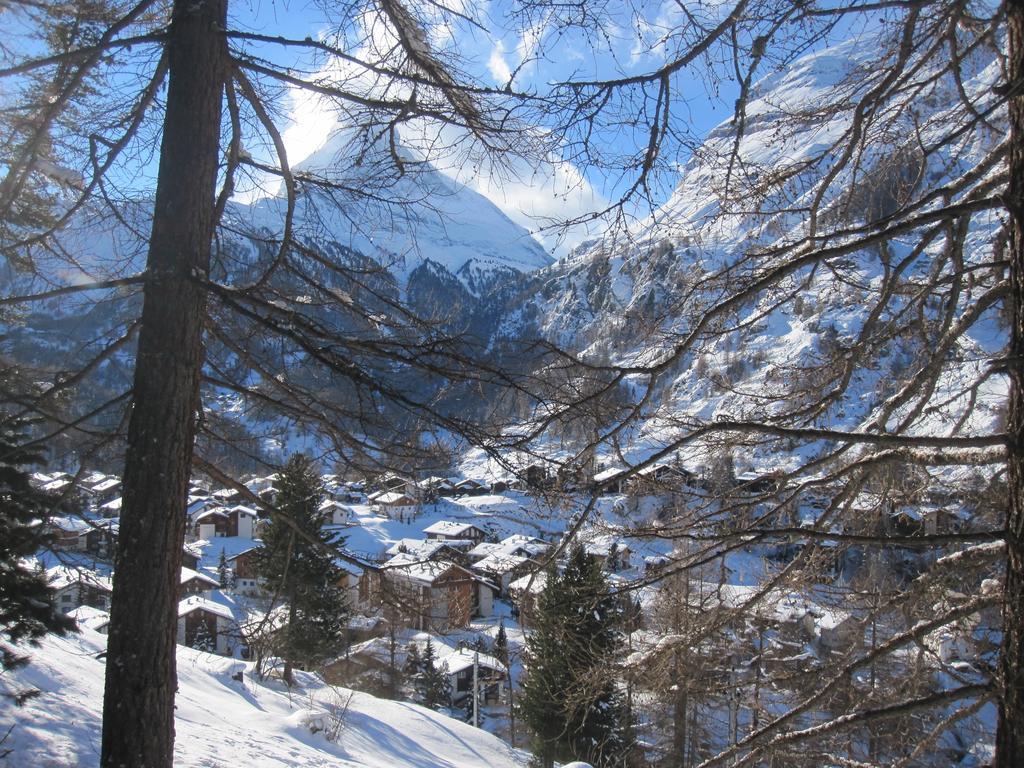 Haus Marico Appartamento Zermatt Esterno foto