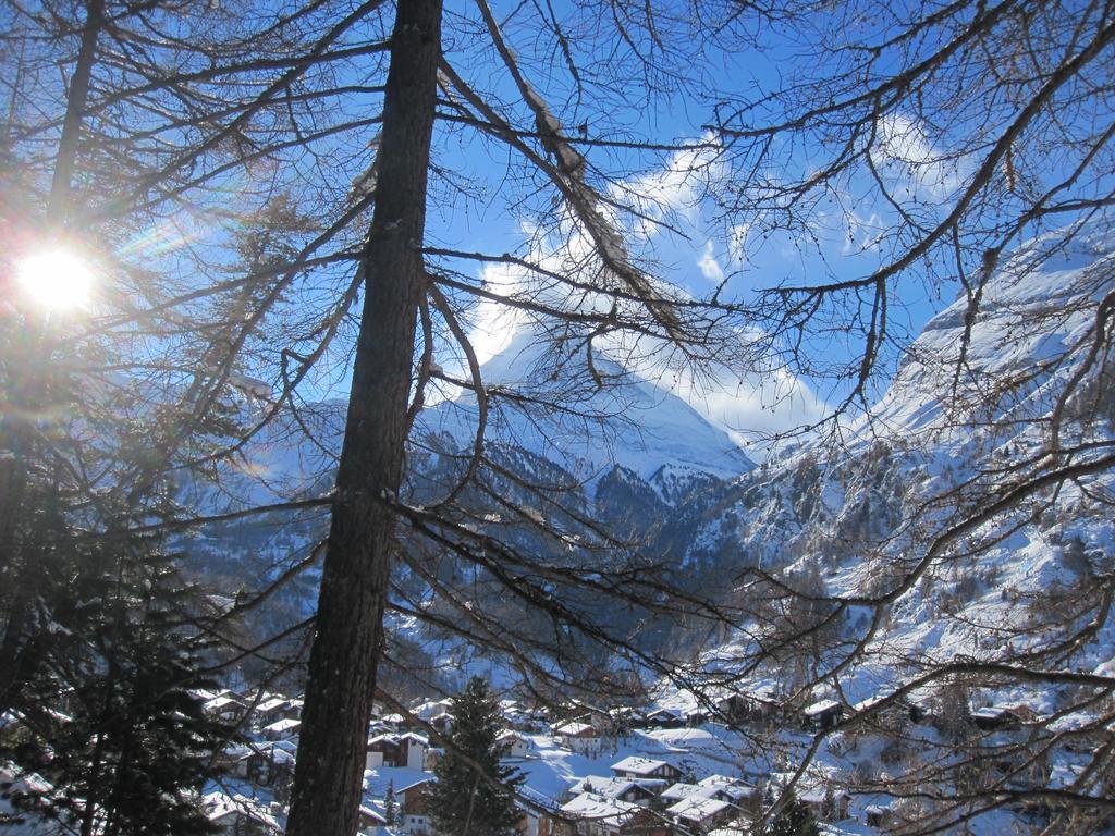 Haus Marico Appartamento Zermatt Esterno foto